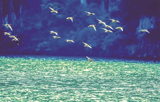 ���죺��ɽ������ˮ���Ⱥ