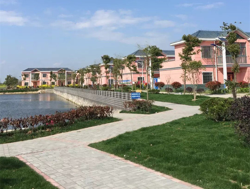 ����®�����ӣ��۽��ĵ�ץ���� �����������ֵ