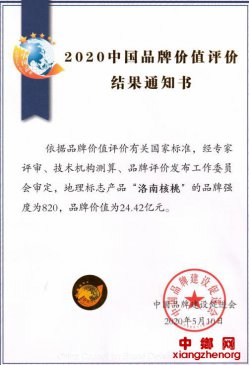 �����Ϻ��ң�Ʒ�Ƽ�ֵ��24.42��Ԫ