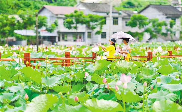 ̫������ӭ����