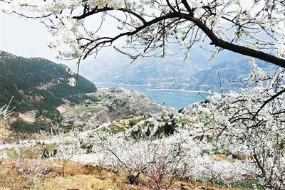 �����������ȥ����? ���ŵ�ͼ������