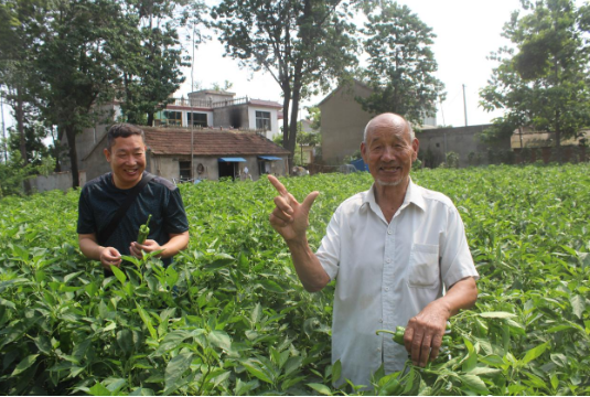 ���գ��������۳���κ����СͥԺ��Ĵ�����