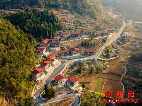 ����������޻桰ʫ����塱 ƶ�����������3��Ԫ����