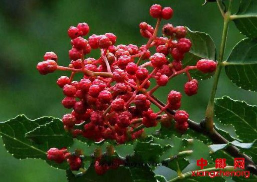 ��ǰ�����۸��ߵ� ��ũ��λ���Ӧ�ԣ�