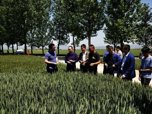 �����г²�����׼ʩ�� ��ҵ��ƶ������