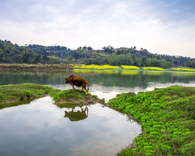 ����ͨ���������ޣ����𴨲˵ص�ʳ�Ļ���