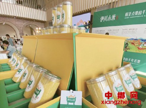 ���ϡ�����С�ס�Ʒ��ս�Է���