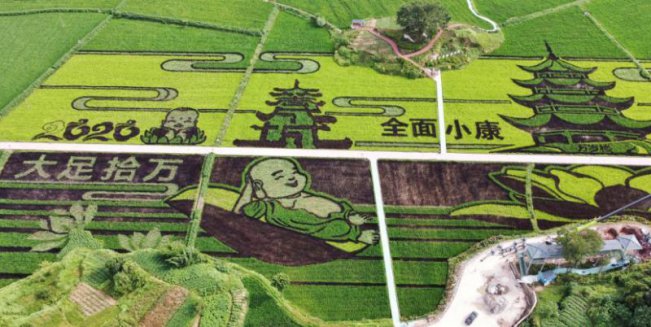 �ʵ�Ʈ�� ��ӭС�� �������2020����սڼ�����Ļ