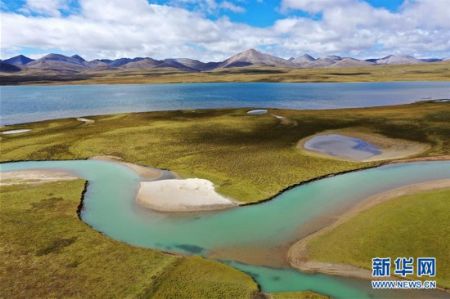 ׳�����к�