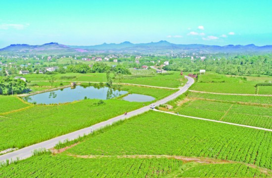 ũ�彻ͨ�̾�ȫ��С��·