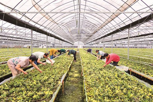 ��ͨ��ƶ����:�Ա��ˮƽ �����ɳ������ջ���