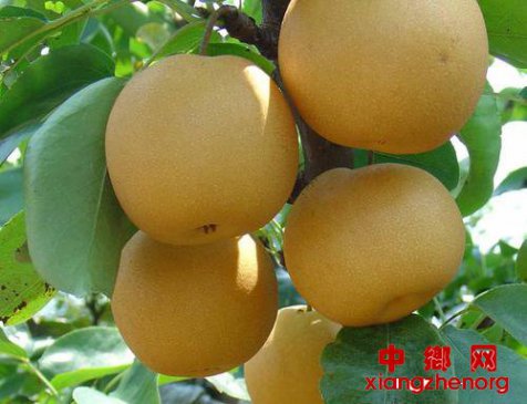 �ƽ��������۸����Ǯһ��ƽ�����ֲǰ������