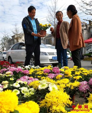 ɽ��۰�ǣ�����ջ��ֹ���