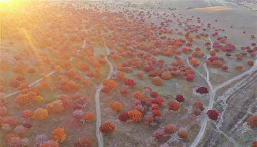 �����ԭ���㡱����