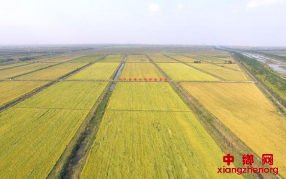 Ϋ������ũҵ���ŷ�չ�ۺ�����������ũ��Ʒ������