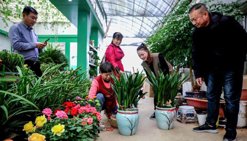 �㽭���ˣ���塰��ľ��ᡱ ׳����������