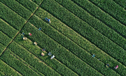 ����ũ�ѣ������߲�ӭ����