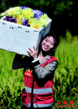 �������á���Ρ��̻һ��Сɽ��