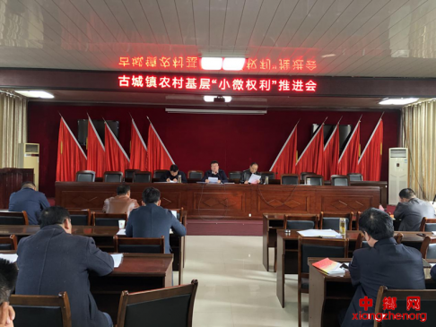 �����۳����ų����ٿ�ũ����㡰С΢Ȩ���������ƽ���