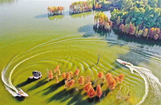 ������ɫ