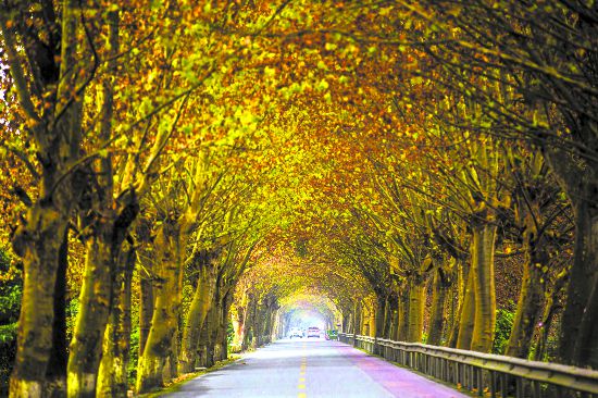 ���ա��𡱲�