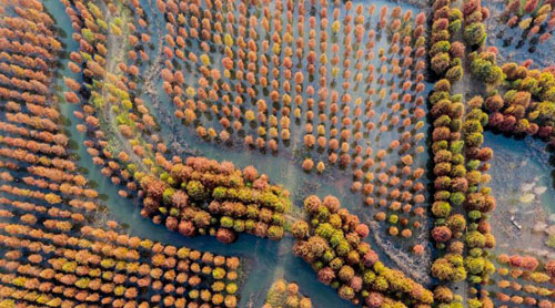 �������飺ʪ��ɼ��ɫ�ʰ��