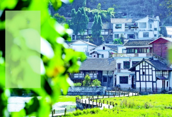 ��ɽü�����կ������