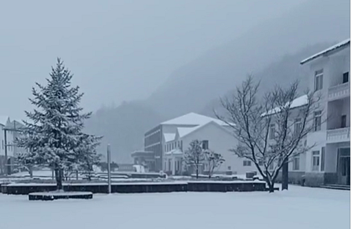 ����Ϫ��ذӡ��ǿڻư��ӵ�ѩ�µ���ô��