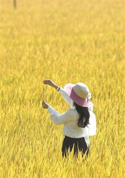 Сѩ�� ������