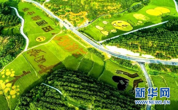 �����׸�ʾ����԰�ۺ���������Ͽ�������¿�԰