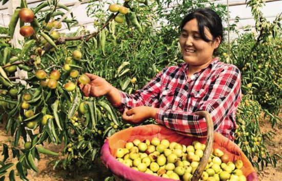 �������󣺼��徭������Ⱥ���¸�·