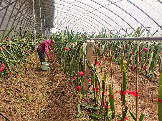 �������ݼ�����Ŵ壺���Ļ�������Ϊ����²�ҵ