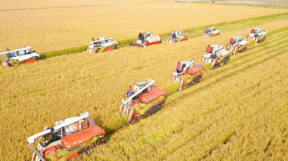 ���ջ������󣺷�չ��ɫũҵ �ٽ���ҵ��Чũ������