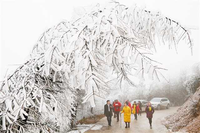 ��ڡ�续���ο�