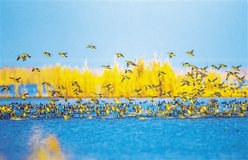 �ҹ�����ʪ�ع�԰������899��