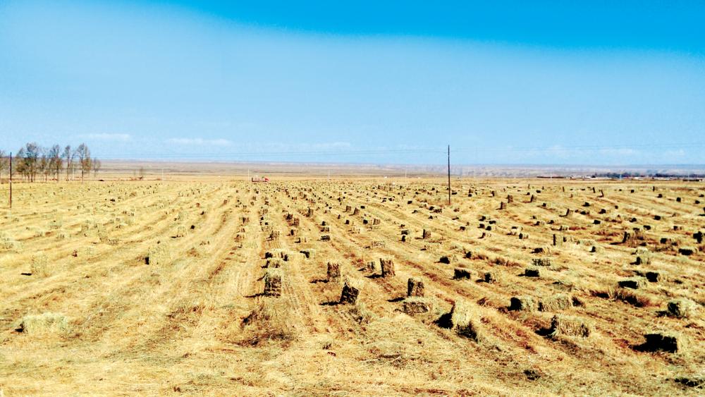 ���ϣ���չ�ݲ�ҵ�����ݾ���