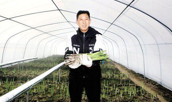 ���ջ����л�����������չ��̬ѭ��ũҵ��ũ����