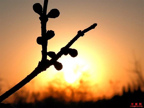 ɽ��۰�ǣ���ϼ������÷������