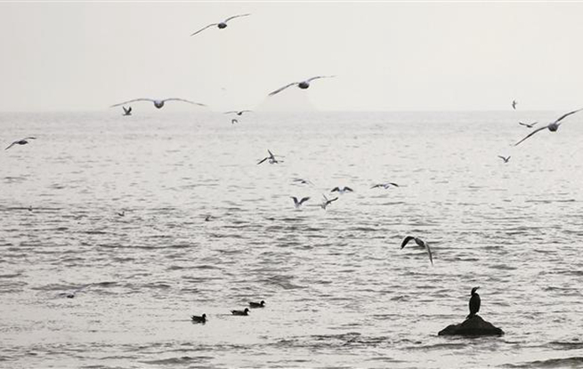 ����������