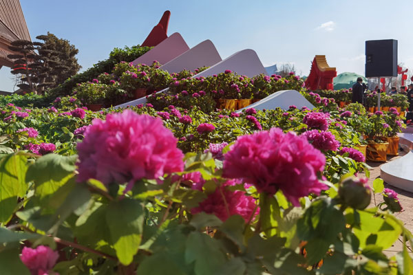 10������ĵ�������š������ŵ�����