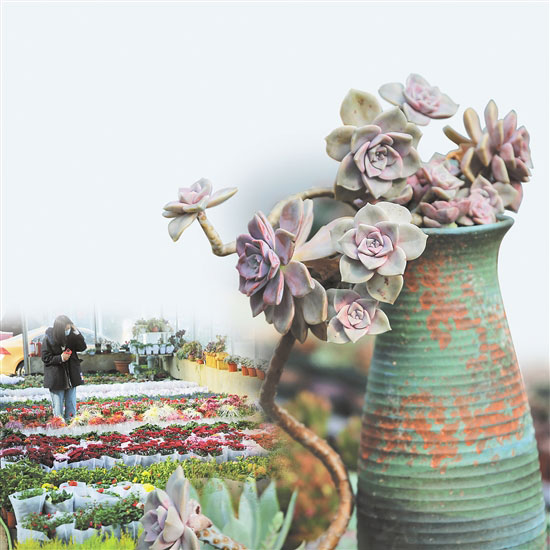 �ʻ����ν����г�