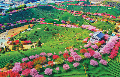 ������԰