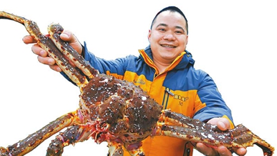 �����ڼ䡰�����ӡ�������������������