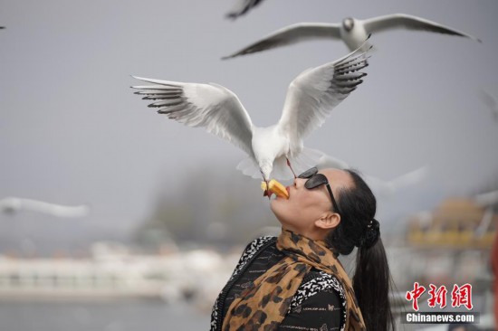 ��������������ιŸ�۾��������ʱ��