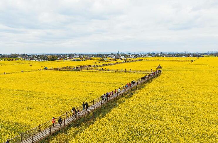 �ο��ڹ㺺�и�ƺ�����ߴ��ͻ�