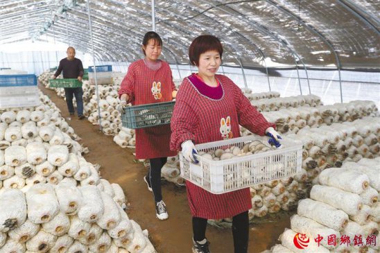 �书�غӵ�������ڴ彨��Ģ����ֲ������ũ����