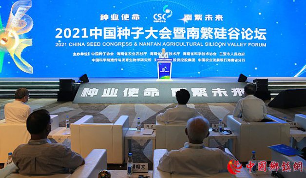 2021�й����Ӵ�����Ϸ������̳�����ǿ�Ļ