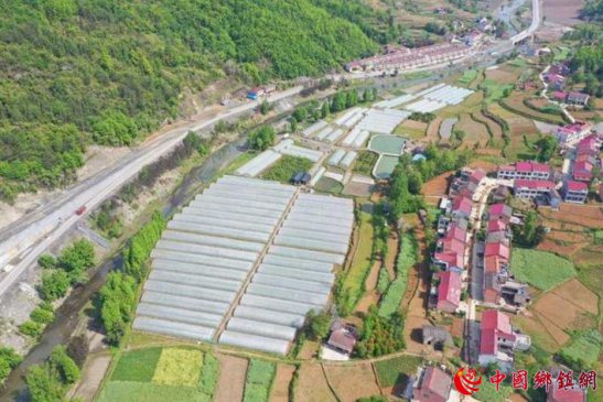 ��������ͷ��ҵ������� ũ��Ʒ�ӹ�ҵ���۶��100��Ԫ