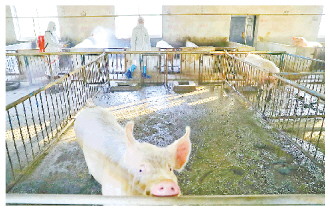 �������������ܼ����û����� �������г��ȶȲ�������Ʒ������40�֣��г����Ľ�4500��