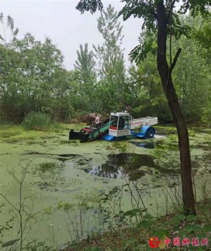 ־Ը����Ưæ